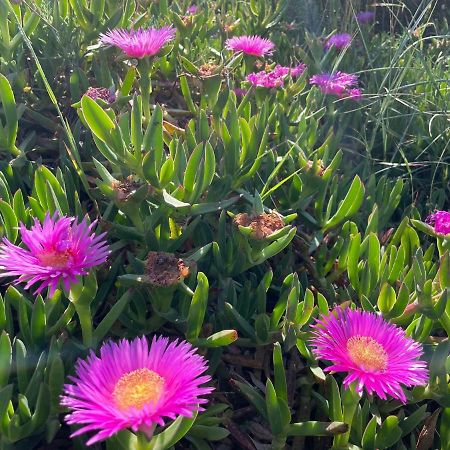 Appartamento In Villa Con Giardino Vicino Al Mare Bella Farnia Екстер'єр фото