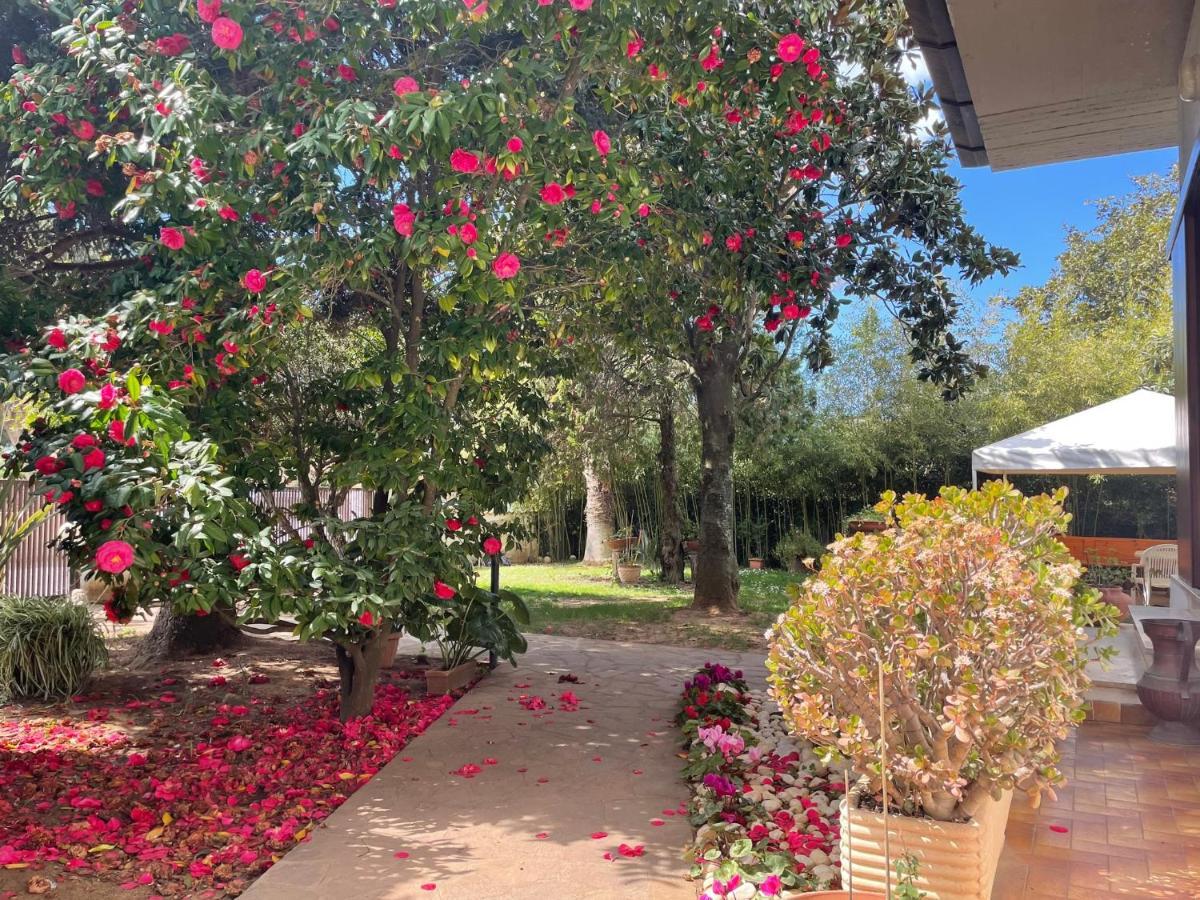 Appartamento In Villa Con Giardino Vicino Al Mare Bella Farnia Екстер'єр фото