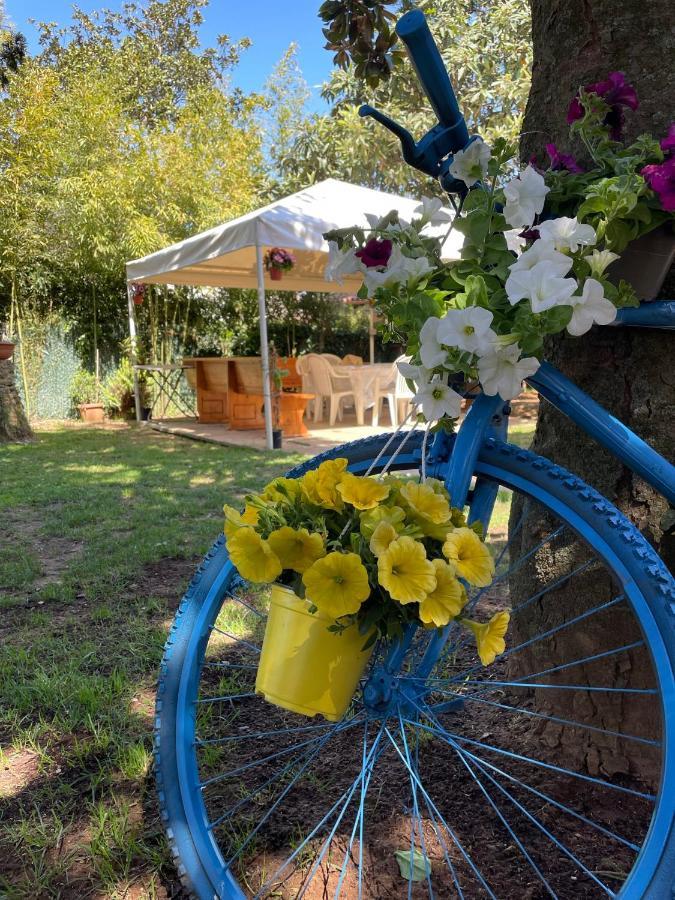 Appartamento In Villa Con Giardino Vicino Al Mare Bella Farnia Екстер'єр фото